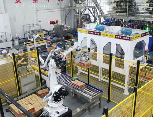 鹽津鋪?zhàn)佣麻L張學(xué)武 以匠心與遠(yuǎn)見，鑄就中國卓越食品制造企業(yè)